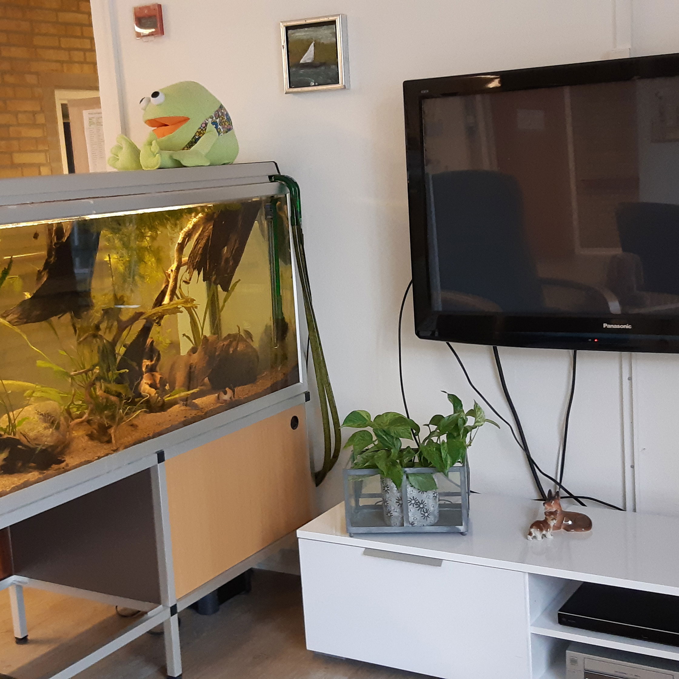 I opholdsrummet er der et tv og et akvarie.
