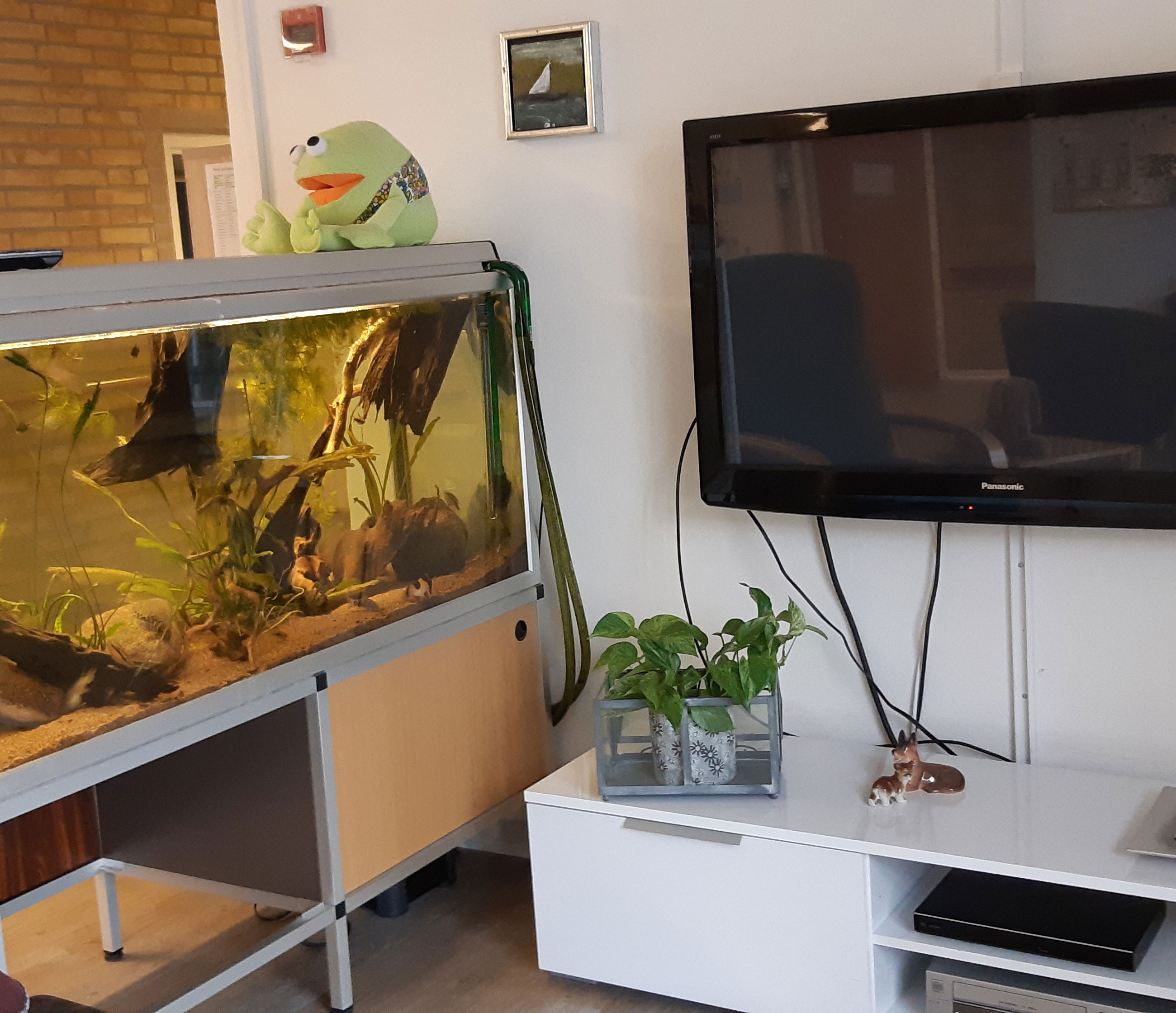 I opholdsrummet er der et tv og et akvarie.