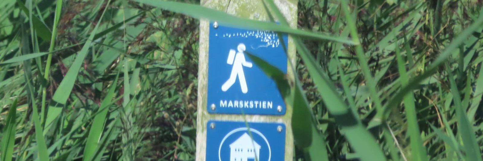 En krage sidder på en beton pæl med blå skilte hvor der står marskstien, omkring er der højt græs.