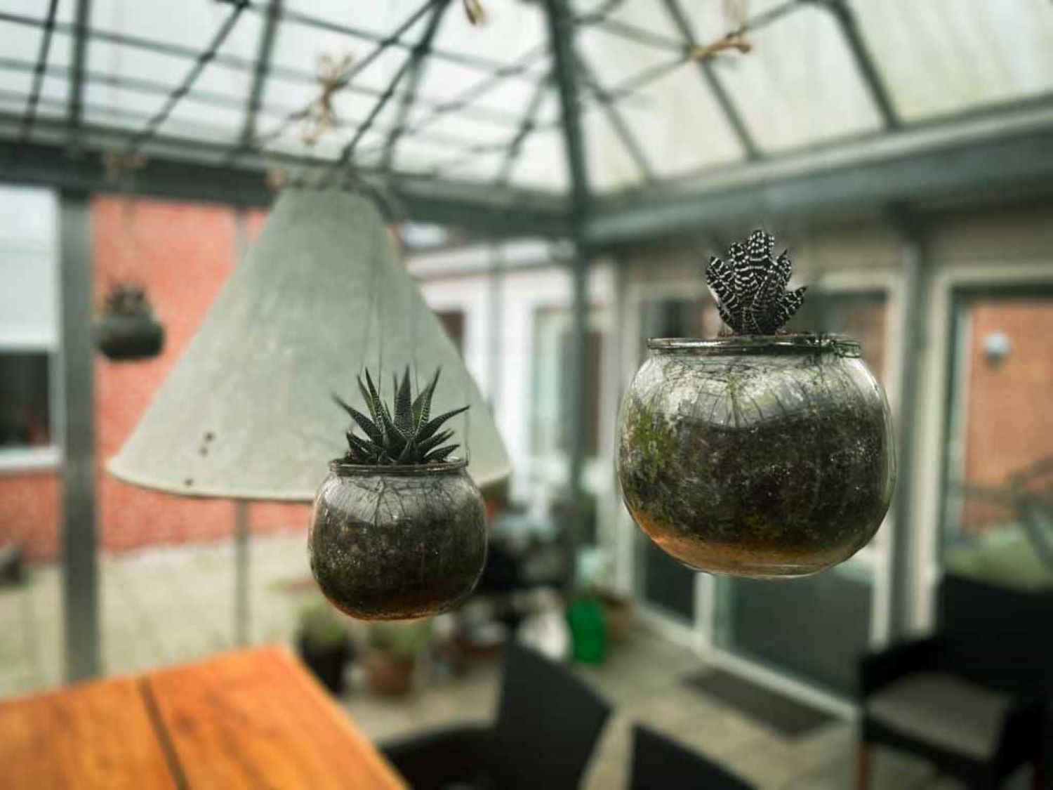 Pavillion hvor man ser to blomster hænge ned fra loftet med små blomster i, baggrunden er let sløret.